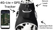 Easy to Use Dog Tracking GPS GSM Device Waterproof Pet Remote Locator Size:L