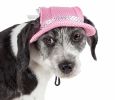 Pet Life 'Sea Spot Sun' Uv Protectant Adjustable Fashion Mesh Brimmed Dog Hat Cap