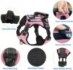 Pet Harness And Leash Set For Dog & Cat; Adjustable No Pull Service Dog Vest Harness For Walking