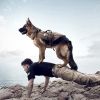 Tactical Dog Harness With Pouches; Adjustable Harness With 3 Detachable Pockets